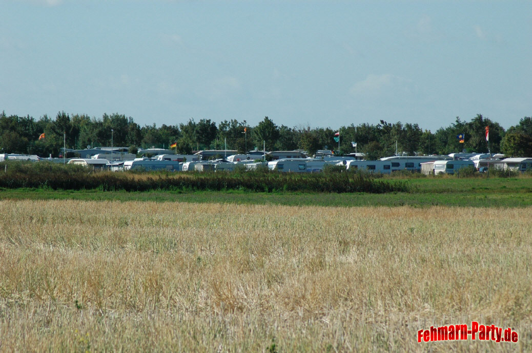 Campingplatz auf Fehmarn mit vielen Mietwohnwagen und einem Wald im Hintergrund